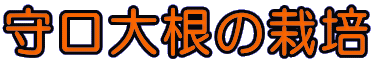 守口大根の栽培